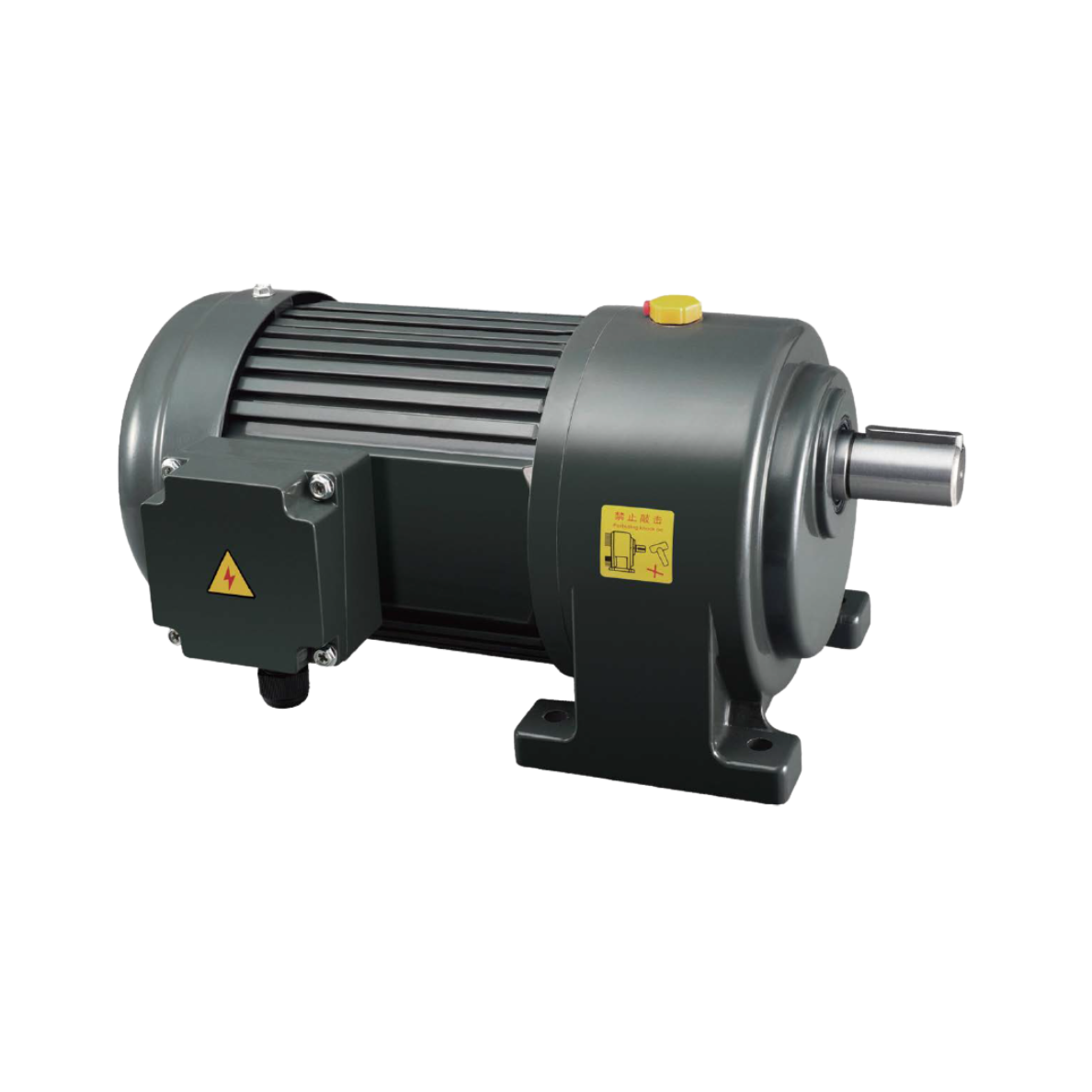 CMP AC Geared Motor
